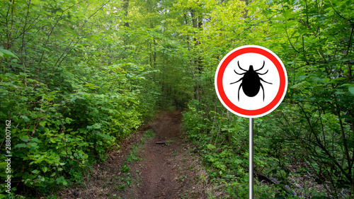 Tick insect warning sign in infected forest. Lyme disease and meningitis transmitter.