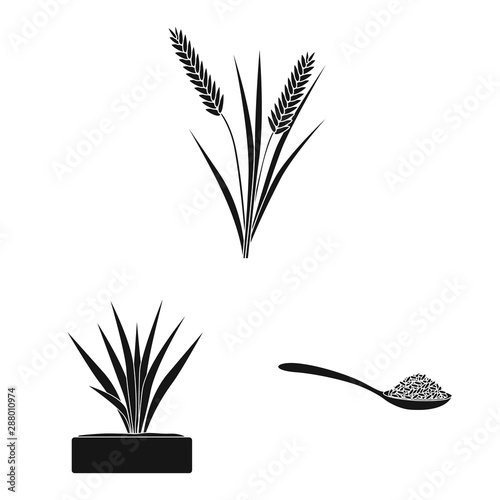 Vector design of diet and cooking logo. Collection of diet and organic stock vector illustration.