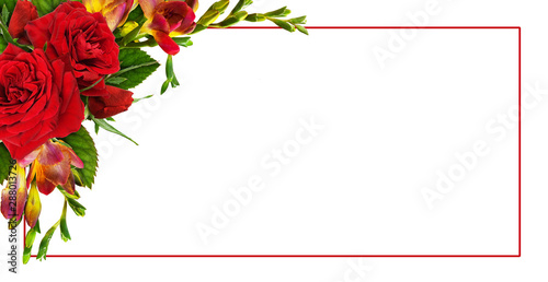 Red roses and freesia flowe...