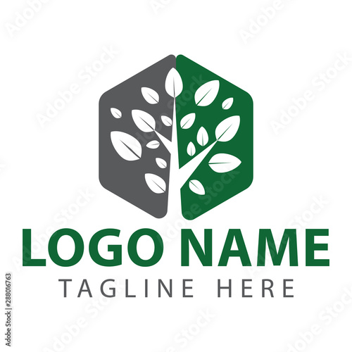 Tree leaf logo design