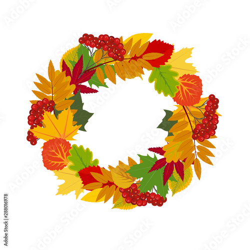 Wreath of autumn leaves and Mountain ash. Symbol of the autumnal equinox (Mabon). Without a background, isolated