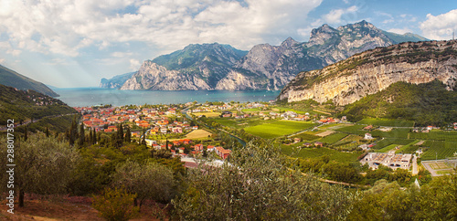Lake coast with mountains and cliffs around, in the foreground village, green meadows, fields and olive trees, blue sky with white clouds. Lago di garda near the Alps (near Trombole, Riva del garda).
