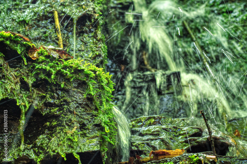 Waterfall with moss in the woods