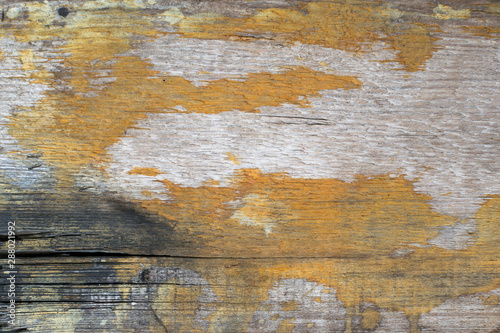 The overgrown wooden surface is gray-brown, painted with yellow paint, which has peeled off from time to time.