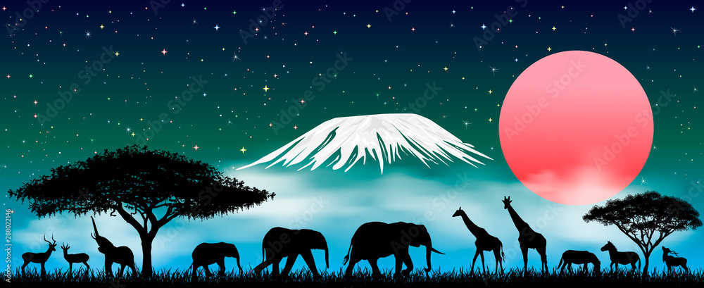 African animals at night. Silhouettes of wild animals of the African savanna. African animals at night against the backdrop of Mount Kilimanjaro. Starry sky and clouds. Stock Vector | Adobe Stock African animals at night. Silhouettes of wild animals of the African savanna. African animals at night against the backdrop of Mount Kilimanjaro. Starry sky and clouds. Stock Vector | Adobe Stock