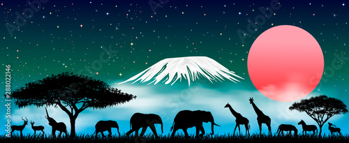 African animals at night. Silhouettes of wild animals of the African savanna. African animals at night against the backdrop of Mount Kilimanjaro. Starry sky and clouds.