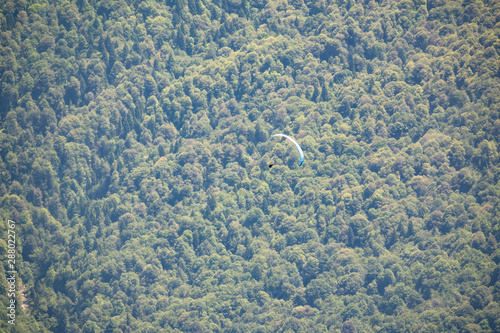Paraglider flies over the forest on a mountainside