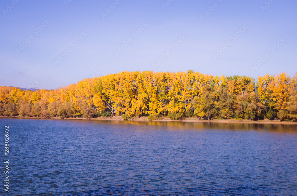 autumn in nature autumn in nature