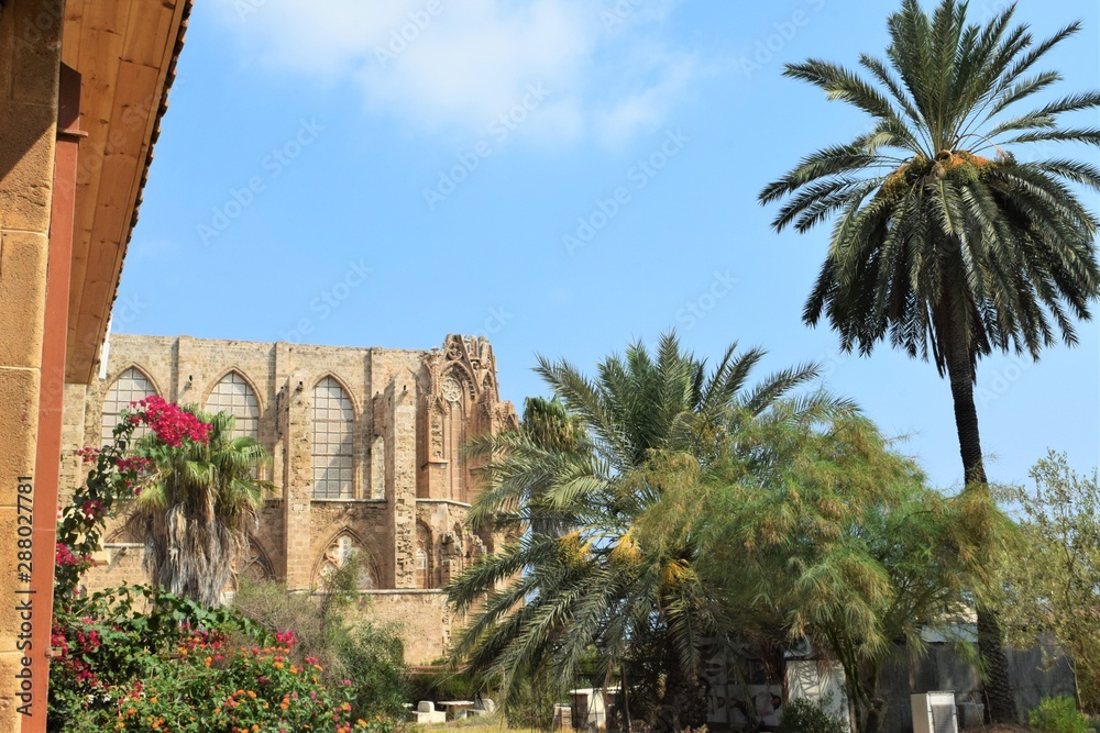 Obraz premium Paradise palm garden, Cyprus, Famagusta