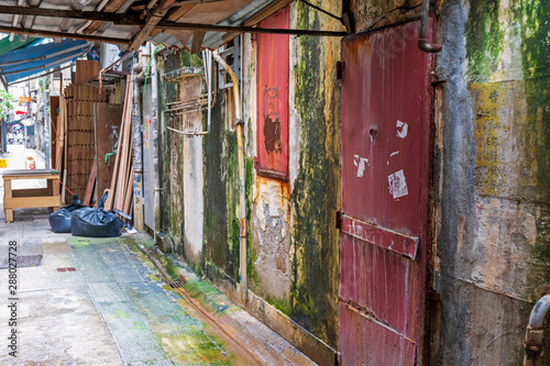 Mold Back Alley © markobe