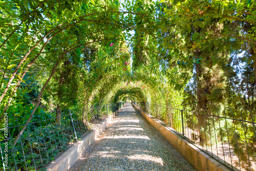 Gardens in Alhambra palace in Granada in a beautiful summer day, Spain