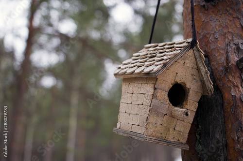 a house for birds from wine corks hangs on a tree in a city park