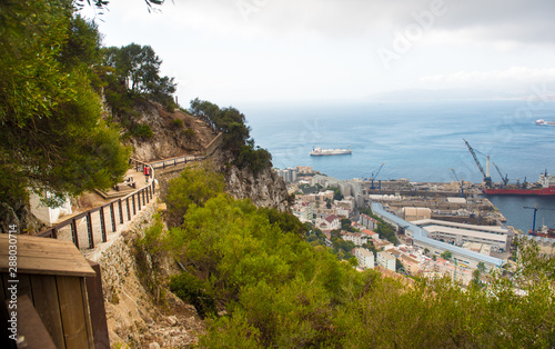 Young Barbery Ape sitting on a wall at the top of The Rock of Gibraltar