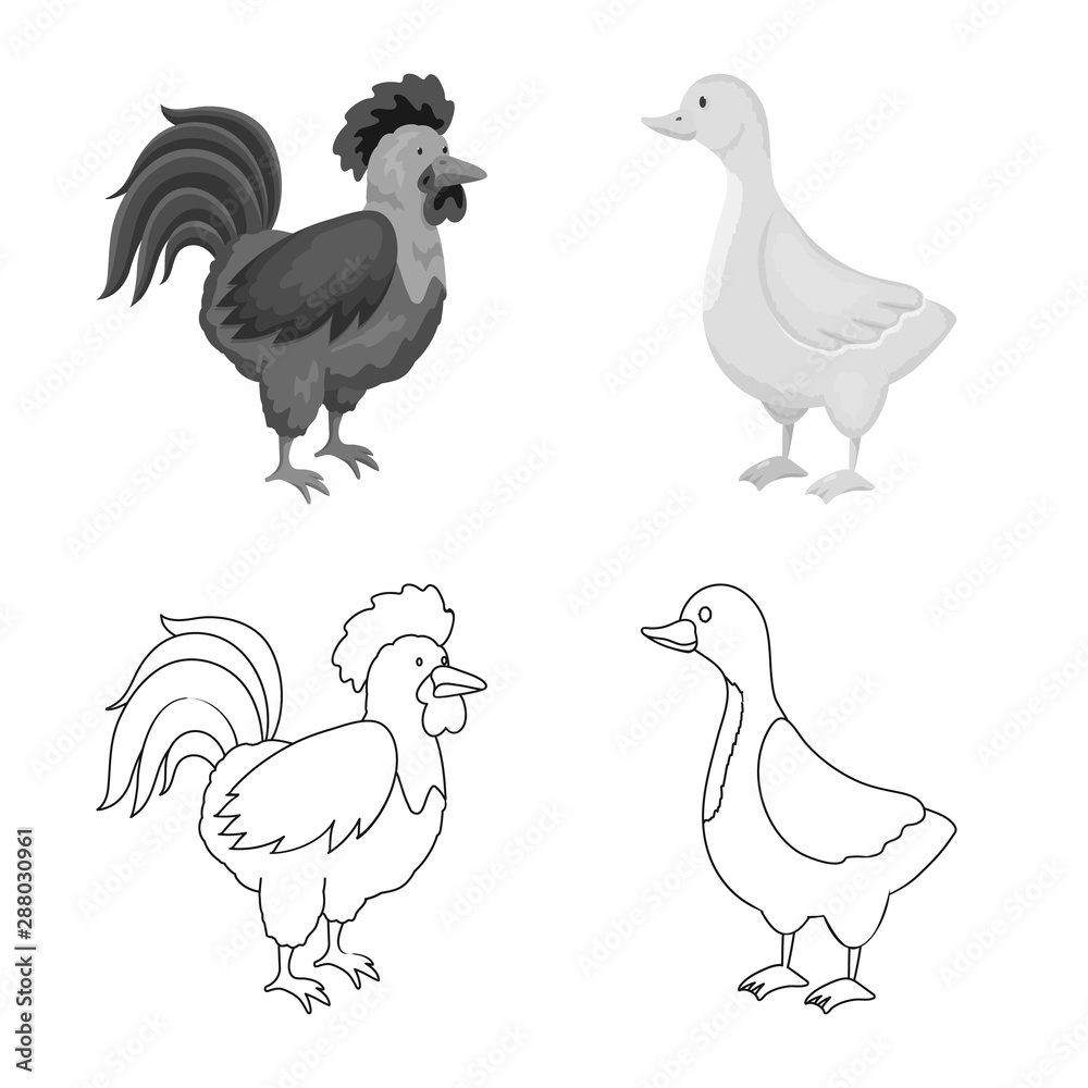 Fototapeta premium Isolated object of breeding and kitchen sign. Collection of breeding and organic vector icon for stock.