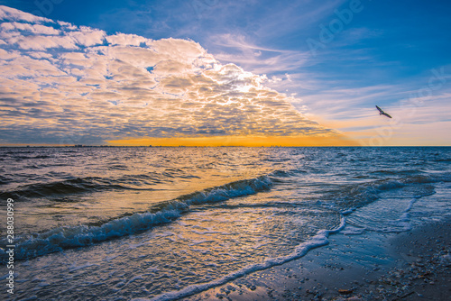 Leading Edge