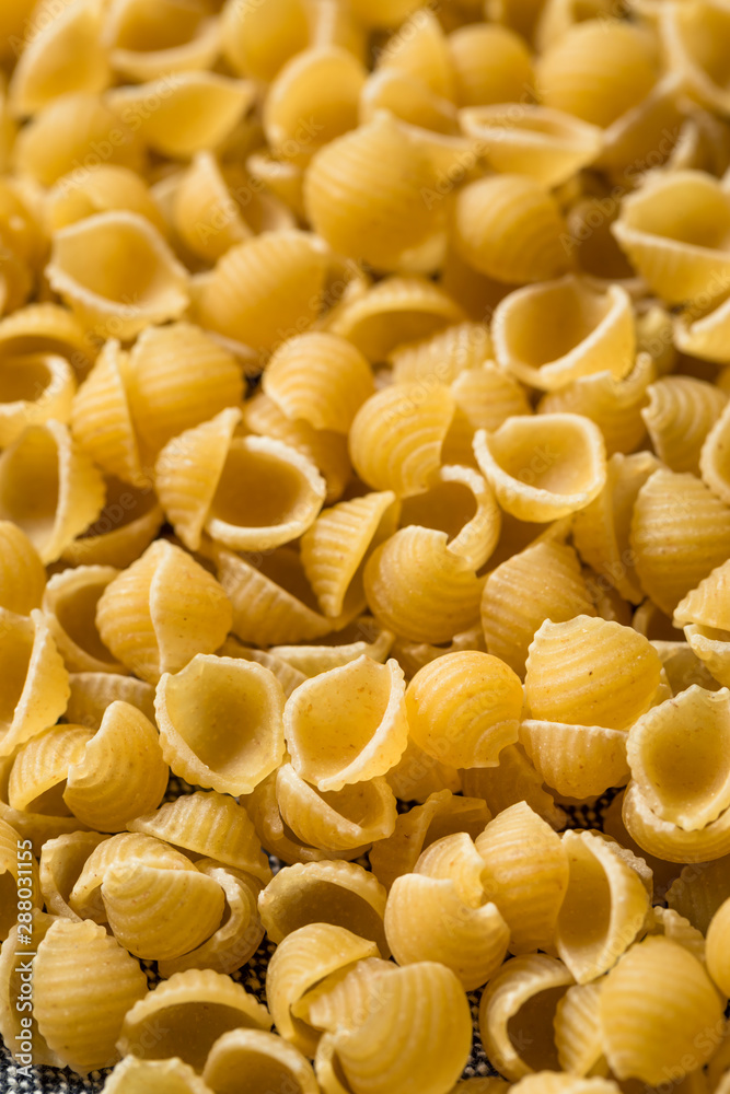 Dry Organic Macaroni Shells Dry Organic Macaroni Shells