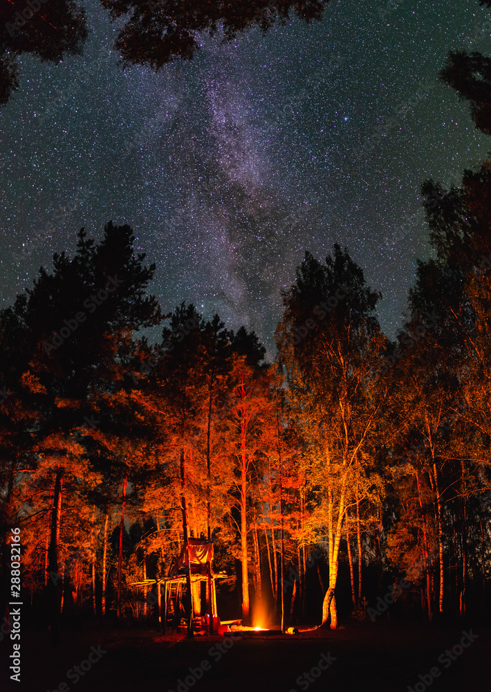 Gatherings by the fire in the night forest under the starry sky with the milky way