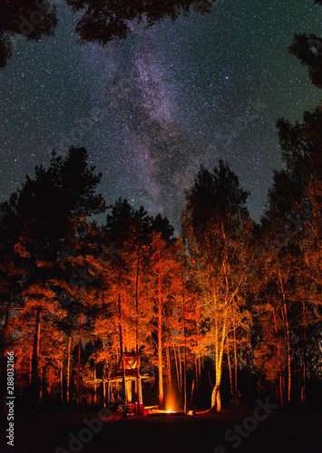 Obraz na płótnie Gatherings by the fire in the night forest under the starry sky with the milky way w salonie