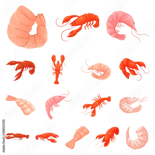 Vector illustration of shrimp and crab icon. Set of shrimp and sea stock symbol for web.