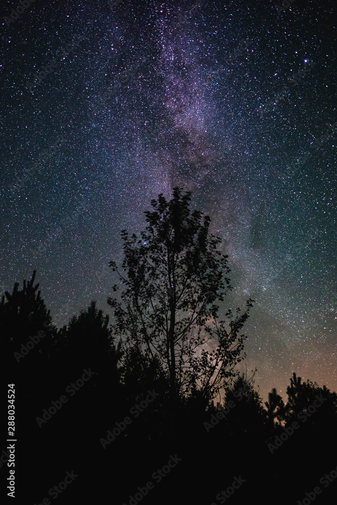 Night sky with milky way over the forest summer night Night sky with milky way over the forest summer night