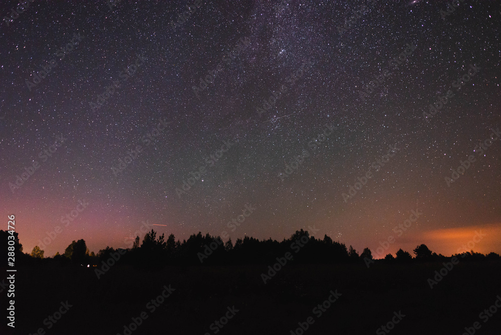 Starry sky over the forest and flying meteor summer night Starry sky over the forest and flying meteor summer night