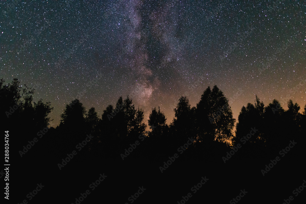 Naklejka premium Night sky with milky way over the forest summer night