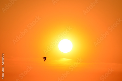 Sunset golden sky,typography design,photo