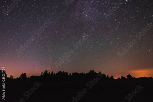 Starry sky over the forest and flying meteor summer night © dmitriydanilov62