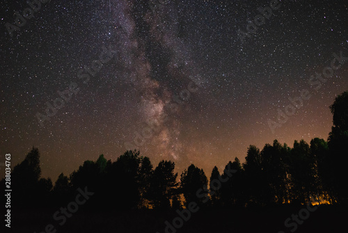 Night sky with milky way over the forest summer night © dmitriydanilov62
