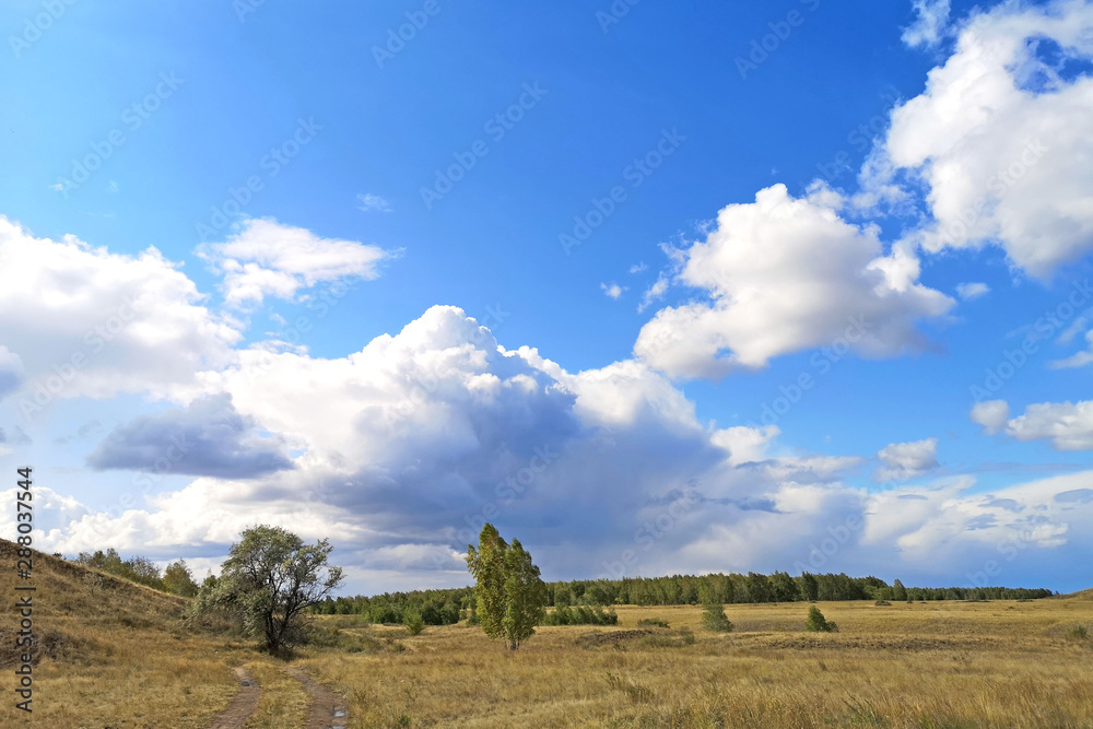 Steppe landscape with sparse vegetation and hills against a blue sky with clouds. We offer you the sky.