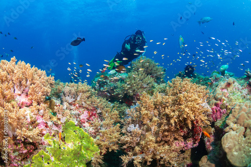 Female SCUBA diver on a colorful coral reef