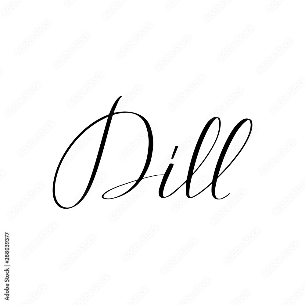 Fototapeta premium Inspirational handwritten brush lettering . Vector calligraphy illustration