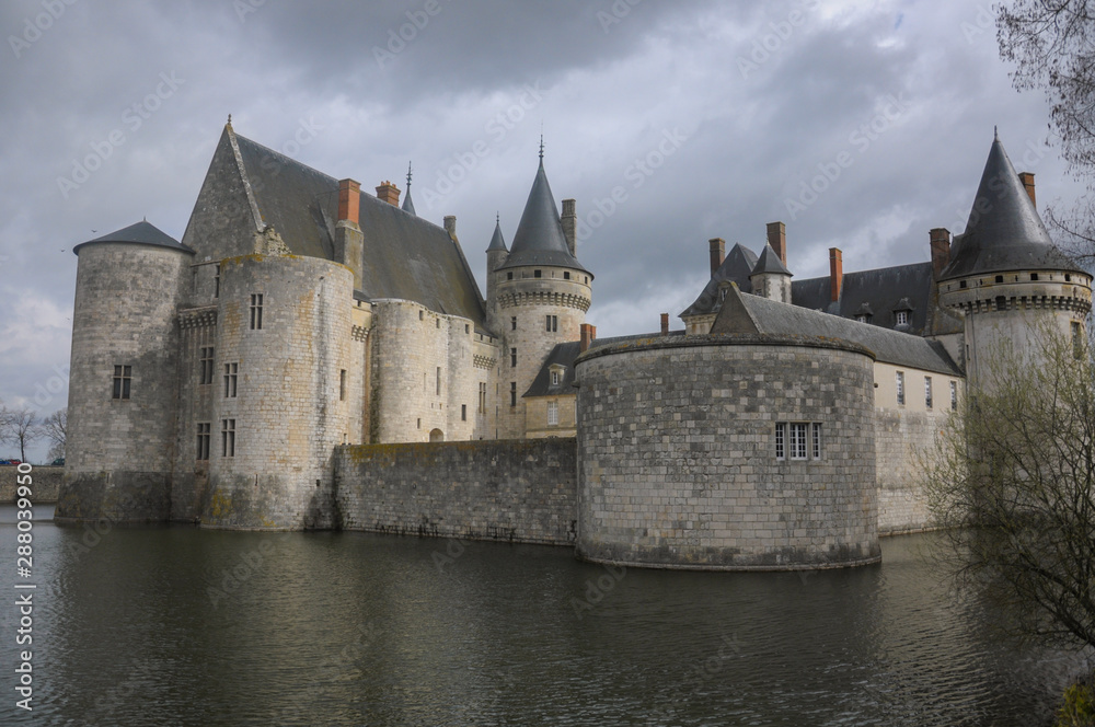 The Chateau of Sully Sur Loire