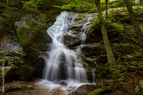 Crabtree Falls  located in Nelson County  is one of the most popular waterfalls in the state of Virginia.