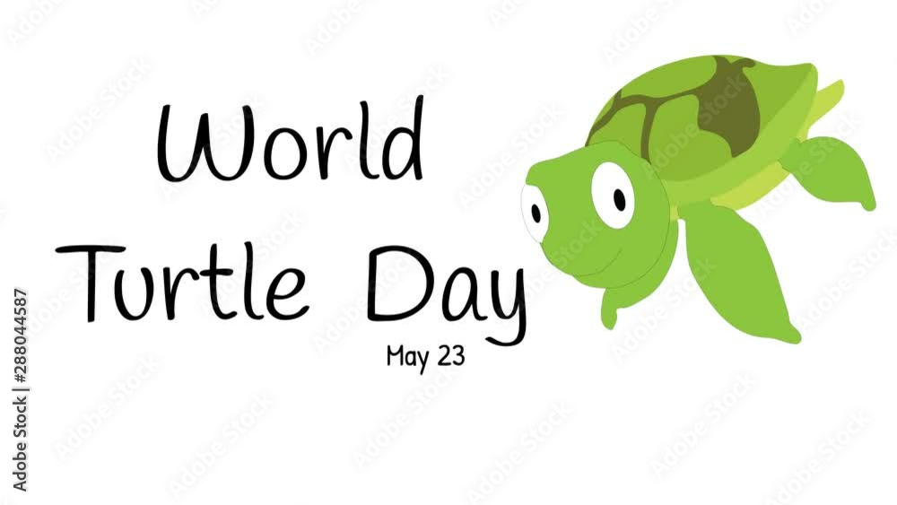 World Turtle Day banner illustrated on white. World Turtle Day banner illustrated on white.