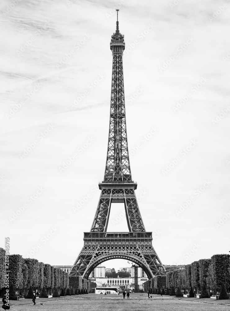 パリ　エッフェル塔　縦位置　モノクロ