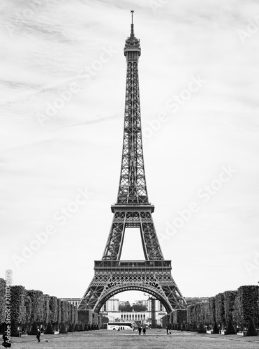 パリ エッフェル塔 縦位置 モノクロ