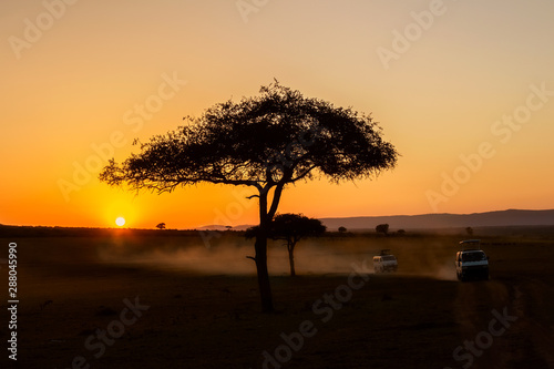 Photography African sunrise with acacia trees and safari cars in Masai Mara, Kenya