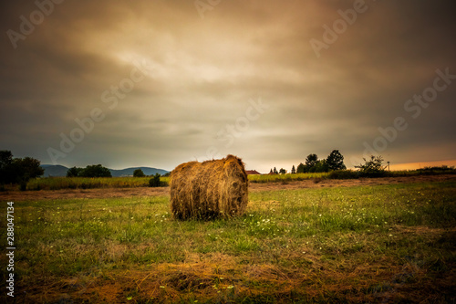 Harvested straw field with Hay bale on agriculture field at cloudy sunset