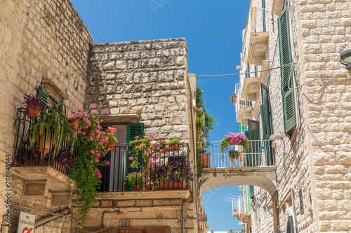 Fotografie Italy, Apulia, Metropolitan City of Bari, Molfetta