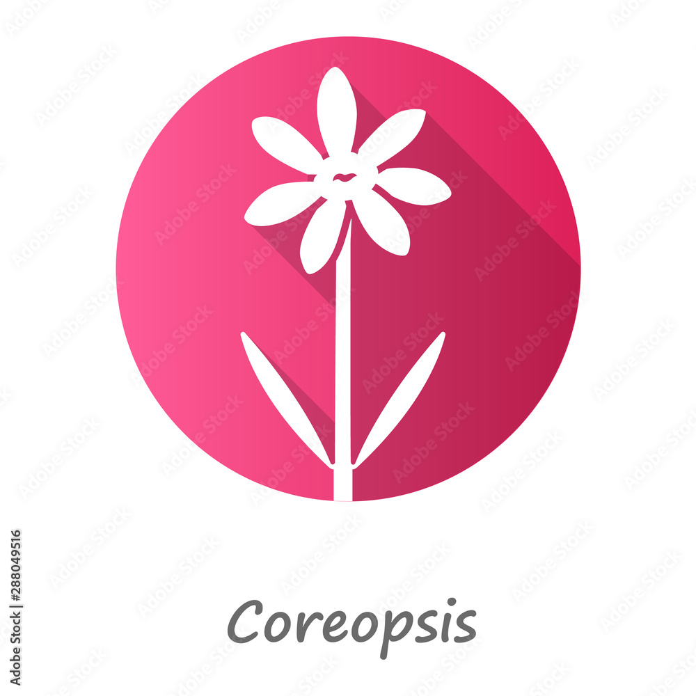 Coreopsis pink flat design long shadow glyph icon. Rudbeckia garden flower with name inscription. Calliopsis plant inflorescence. Blooming daisy, camomile wildflower. Vector silhouette illustration