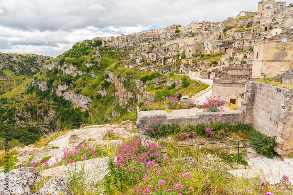 Italy, Basilicata, Province of Matera, Matera. View of Gravina ravine and wildflowers from Matera.