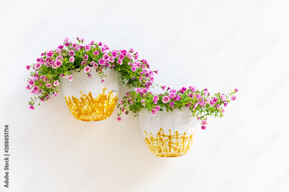 Pink flowers in ceramic bowls on a white wall.