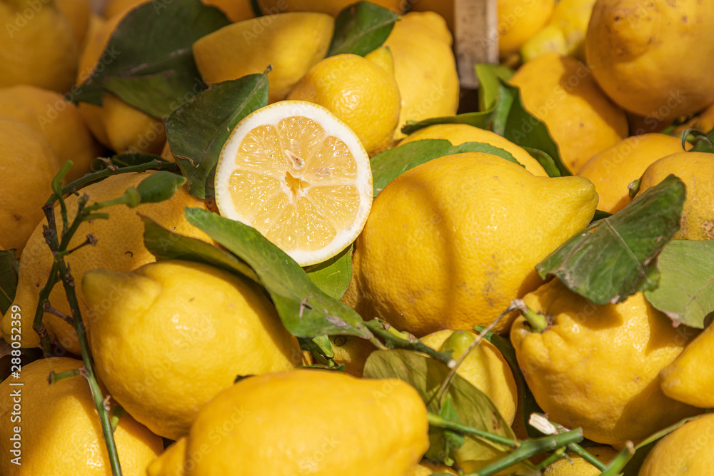 Italy, Apulia, Metropolitan City of Bari, Locorotondo. Lemons for sale in an outdoor market.
