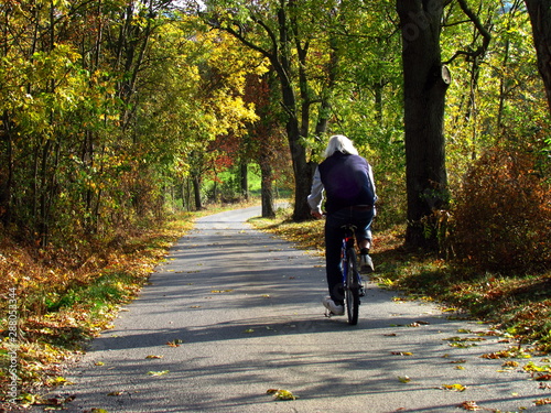 cyclist riding the road in autumn landscape, fall in countryside © shalom3