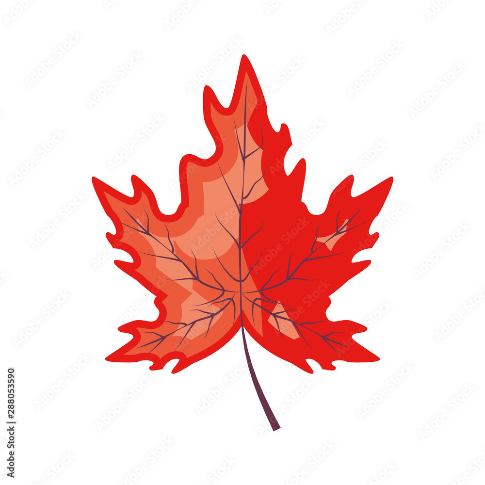 Fototapeta premium maple leafs autumn pattern background