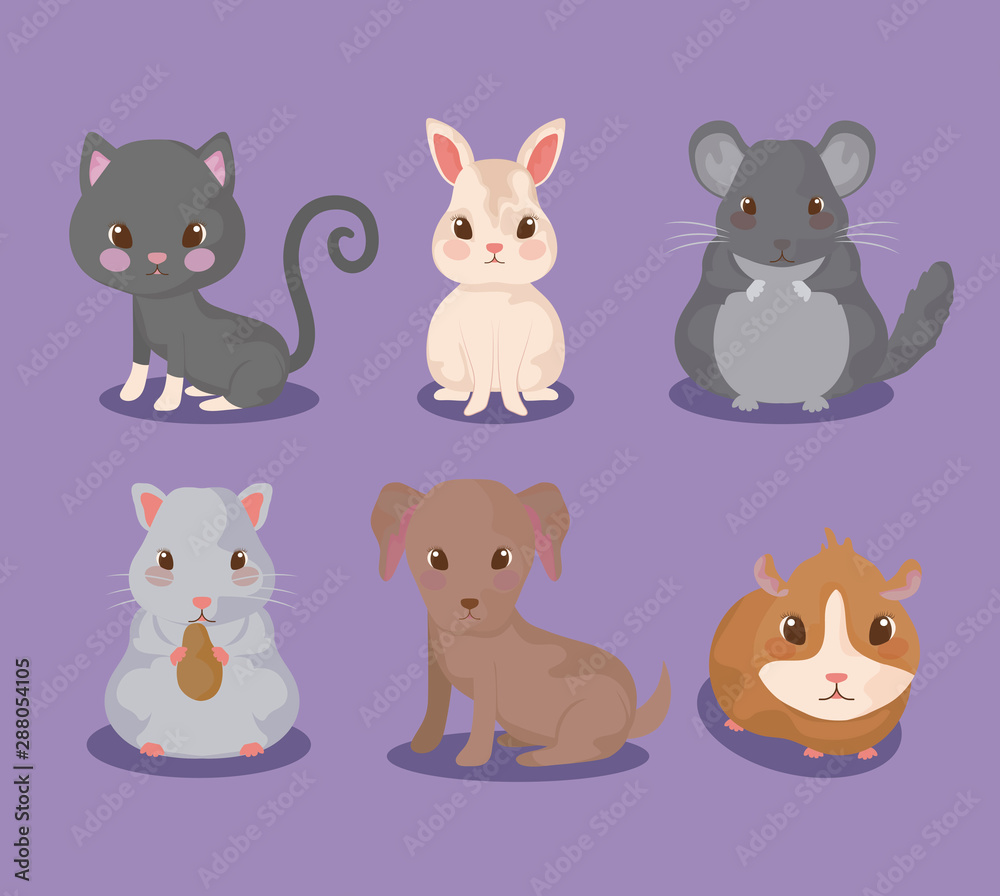 group of cute baby animals