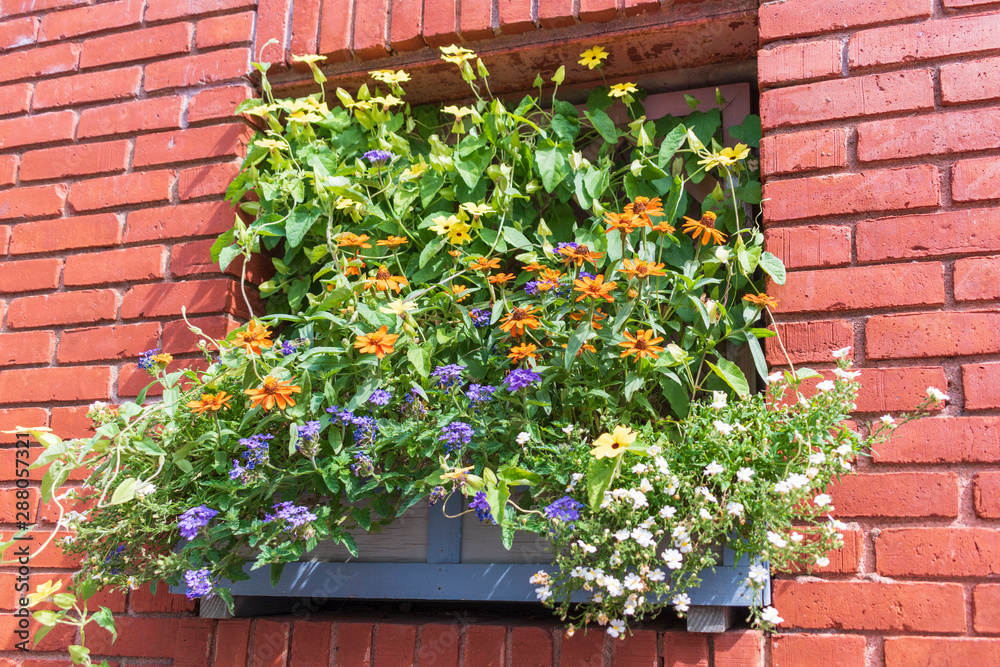 Naklejka premium flowers on the wall