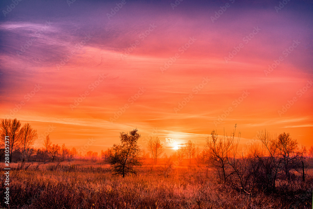  Bright yellow and red sunset in African savannah.