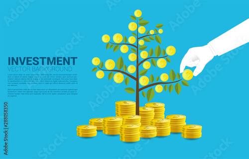Businessman hand pick up coin from Growing Money tree. Background concept for return money saving and investment. photo